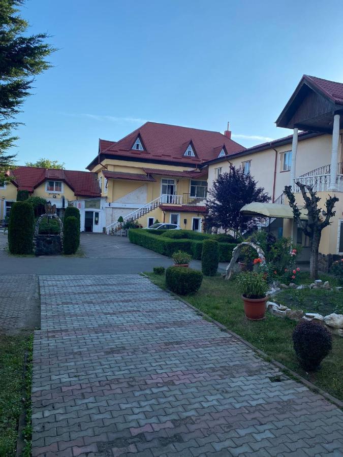 Pensiunea Viena Târgu-Mureş Esterno foto
